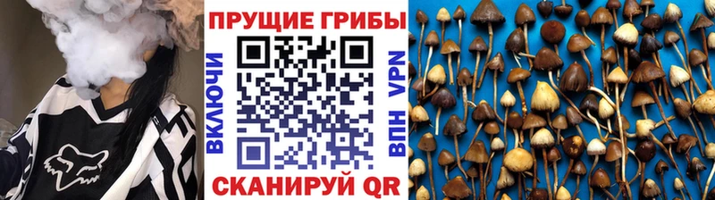 Галлюциногенные грибы MAGIC MUSHROOMS  цена наркотик  Ильский 