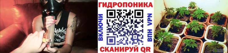 МЕГА вход  даркнет официальный сайт  Канабис план  Ильский 